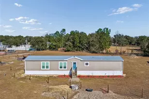 8736 23rd St, Zephyrhills, FL 33540 - Photo 63