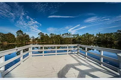 3033 Stonegate Falls Drive, Land O Lakes, FL 34638 - Photo 85