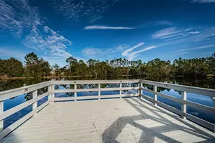 3033 Stonegate Falls Dr, Land O Lakes, FL 34638 - Photo 85