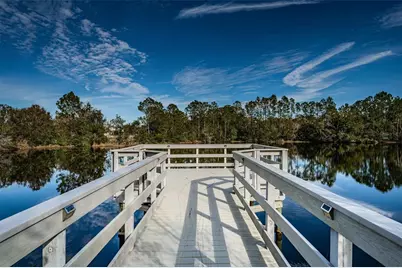 3033 Stonegate Falls Drive, Land O Lakes, FL 34638 - Photo 83