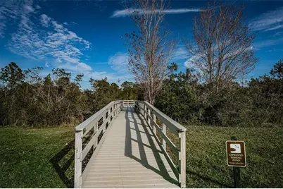 3033 Stonegate Falls Drive, Land O Lakes, FL 34638 - Photo 81