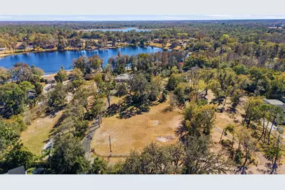 9214 Rhea Drive, Odessa, FL 33556 - Photo 3