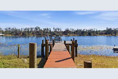 9214 Rhea Drive, Odessa, FL 33556 - Photo 3