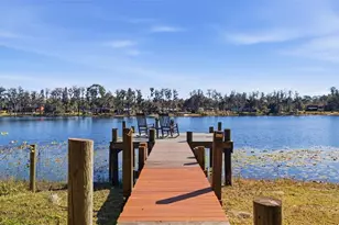 9214 Rhea Dr, Odessa, FL 33556 - Photo 3