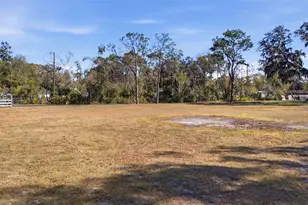 9214 Rhea Dr, Odessa, FL 33556 - Photo 67