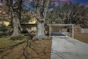 33137 Cercelia Rd, Dade City, FL 33523 - Photo 39