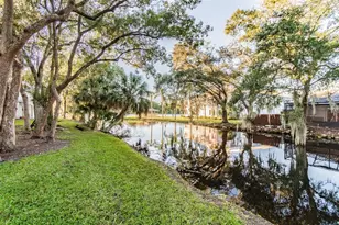 7015 Waterside Dr, Tampa, FL 33617 - Photo 81