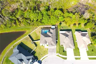 19730 Preservation Woods Dr, Lutz, FL 33558 - Photo 37