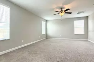 3192 Calvano Dr, Land O Lakes, FL 34639 - Photo 13