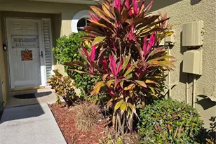 11229 Kapok Grand Cir, Madeira Beach, FL 33708 - Photo 3