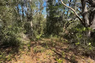 6704 Ike Smith Rd, Plant City, FL 33565 - Photo 17