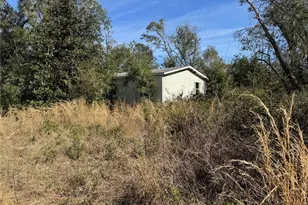 6704 Ike Smith Rd, Plant City, FL 33565 - Photo 25