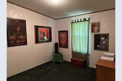 6704 Ike Smith Road, Plant City, FL 33565 - Photo 11