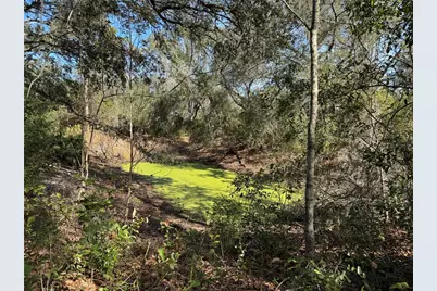 6704 Ike Smith Road, Plant City, FL 33565 - Photo 23