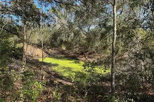 6704 Ike Smith Rd, Plant City, FL 33565 - Photo 23