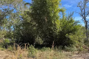 6704 Ike Smith Rd, Plant City, FL 33565 - Photo 19