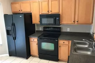 15776 Fishhawk Falls Dr, Lithia, FL 33547 - Photo 5