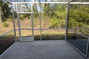 15776 Fishhawk Falls Dr, Lithia, FL 33547 - Photo 15