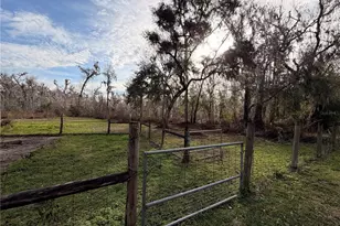 765 Sloans Ridge Rd, Groveland, FL 34736 - Photo 53