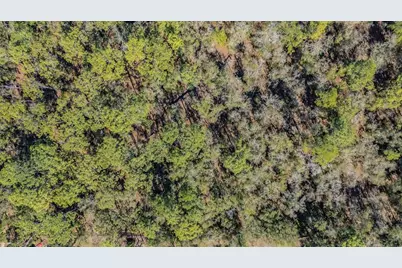 5504 Sun Up Road, Land O Lakes, FL 34638 - Photo 11