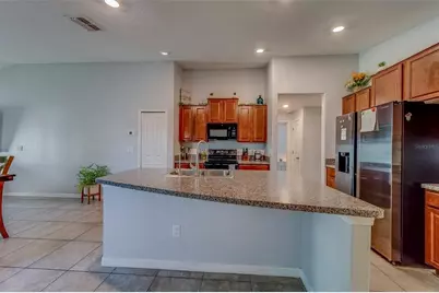 10222 Cool Waterlily Avenue, Riverview, FL 33578 - Photo 3