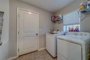 10222 Cool Waterlily Ave, Riverview, FL 33578 - Photo 35