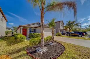 10222 Cool Waterlily Ave, Riverview, FL 33578 - Photo 9