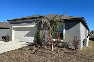 5380 Blue Horizon Wy, Wimauma, FL 33598 - Photo 3