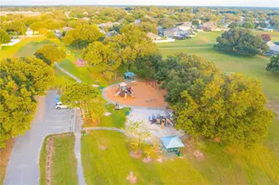 2558 Brimhollow Dr, Valrico, FL 33596 - Photo 69