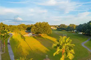 2558 Brimhollow Dr, Valrico, FL 33596 - Photo 63