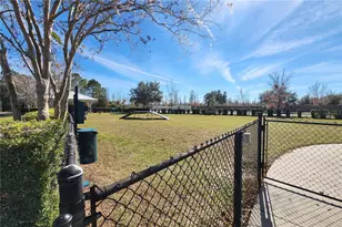 19326 Long Lake Ranch Blvd, Lutz, FL 33558 - Photo 83