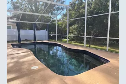 736 Sunflower Drive, Palm Harbor, FL 34683 - Photo 23