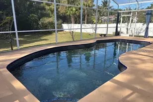 736 Sunflower Dr, Palm Harbor, FL 34683 - Photo 21