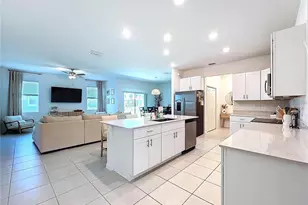 32046 Powderpuff Mimosa Dr, San Antonio, FL 33576 - Photo 5