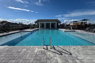 30104 Misty Pnes Rd, Mount Dora, FL 32757 - Photo 37