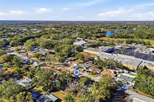 114 Connie Ave, Tampa, FL 33613 - Photo 43