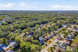 114 Connie Ave, Tampa, FL 33613 - Photo 41