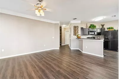 17978 Villa Creek Drive, Tampa, FL 33647 - Photo 3