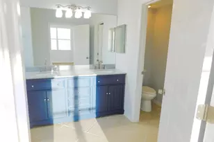 11016 Holly Cone Dr, Riverview, FL 33569 - Photo 19