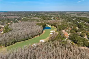 1362 E Lake Woodlands Pkwy, Oldsmar, FL 34677 - Photo 45