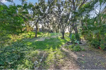 2452 Bush Tail Court, Palm Harbor, FL 34683 - Photo 21