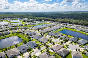 13012 Rain Lily Dr, Riverview, FL 33579 - Photo 69