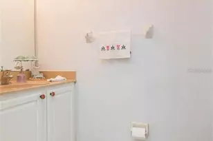 26902 Juniper Bay Dr, Wesley Chapel, FL 33544 - Photo 17