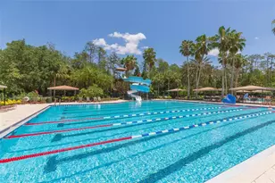 26902 Juniper Bay Dr, Wesley Chapel, FL 33544 - Photo 31