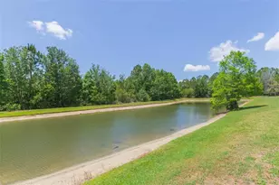 26902 Juniper Bay Dr, Wesley Chapel, FL 33544 - Photo 15