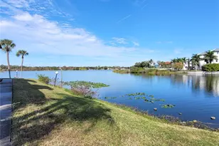 1005 S Bayshore Blvd, Safety Harbor, FL 34695 - Photo 31