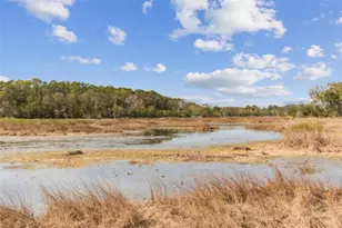 12147 Quail Ridge Dr, Spring Hill, FL 34610 - Photo 97