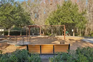 32451 Natural Bridge Rd, Wesley Chapel, FL 33543 - Photo 43