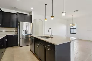 32451 Natural Bridge Rd, Wesley Chapel, FL 33543 - Photo 11