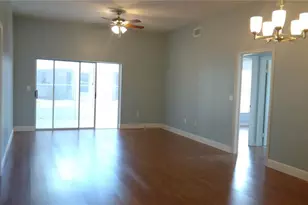 28646 Tanner Dr, Wesley Chapel, FL 33543 - Photo 11